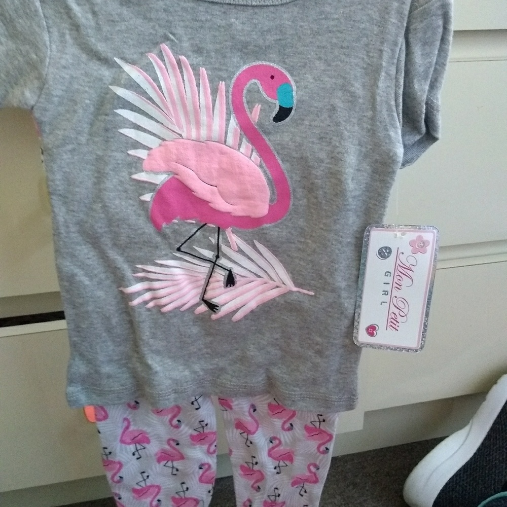 New 2 peice Flamingo PJ'S